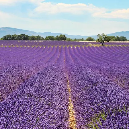 Apartment Bienvenue Au Dormidou En Provence ! Vacqueyras
